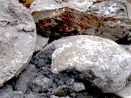 schrott-41